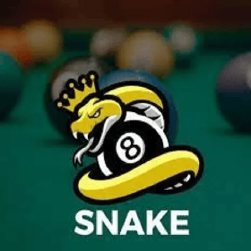 Ikon SNAKE 8 BALL POOL