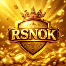 Ikon RSNOK APK
